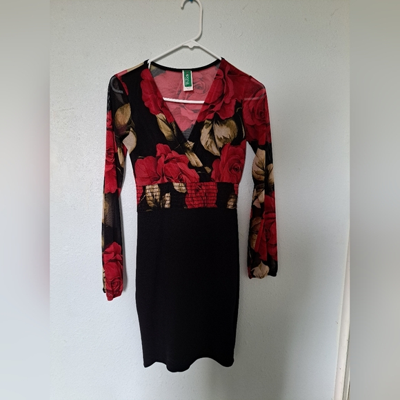 Red Roses Floral Mesh Dress - Picture 2 of 7